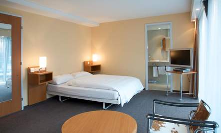 Alpha Palmiers by Fassbind